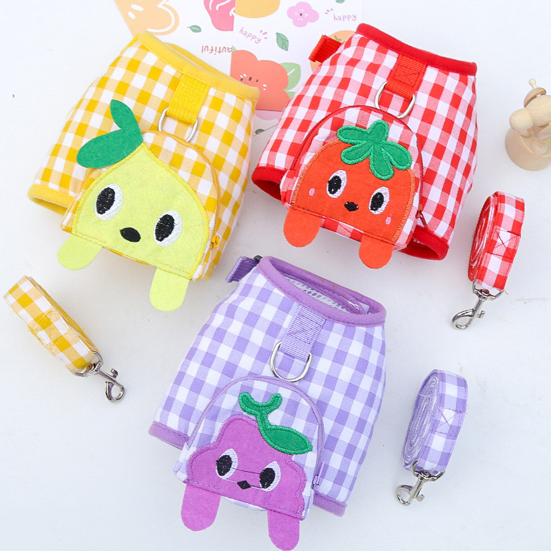 Kućni ljubimac, pas, mačka, remen za prsa, povodac, slatka karirana voćka, prsa i leđa, šetanje psa, medo, borba, bago odjeća, pojas za male pse