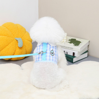 Φόρεμα για σκύλους με λουρί Ρούχα κατοικίδιων ζώων για μικρά σκυλιά γάτες Φούστα άνοιξη και καλοκαίρι οδηγεί Πριγκίπισσα Φόρεμα με φιόγκο για κουτάβι λουρί