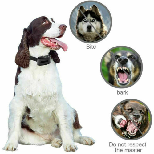 Κολάρο με γάβγισμα σκύλου Συμπαγές κατά του γαβγίσματος Εκπαίδευση με τηλεχειρισμό διακοπής ήχου-δόνησης-σόκ Εκπαίδευση Εργαλεία κατοικίδιων ζώων