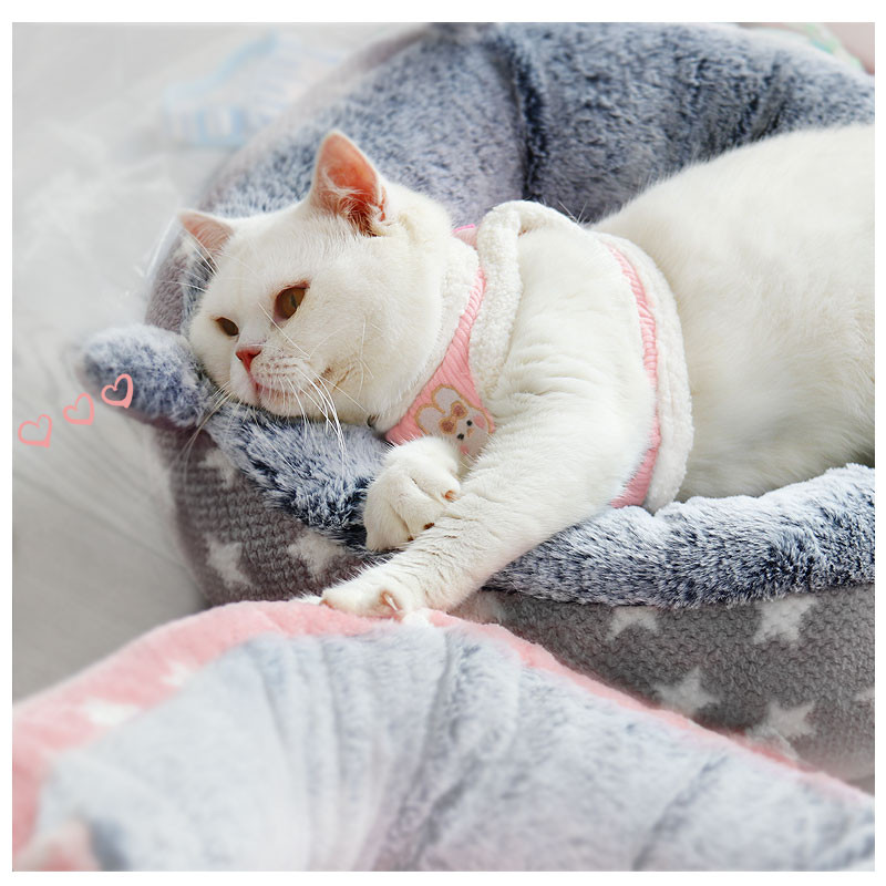 Set de lesă pentru ham pentru câini de talie mică, reglabil pentru menținerea caldă pentru cățeluș, pisică, ham, vestă, buldog francez, pug, lesă de plimbare în aer liber