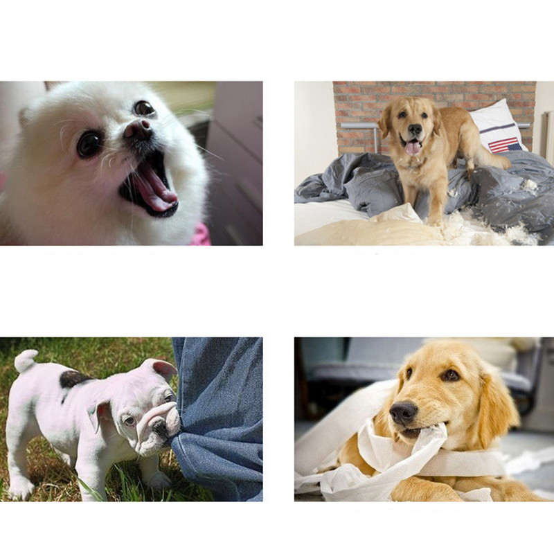 Stick Training Dog Clicker Petcat Câini Momeală Baghetă Jucării Bastoane interactive Echipament Cățeluș Țintă Click Teasing Pole Tool