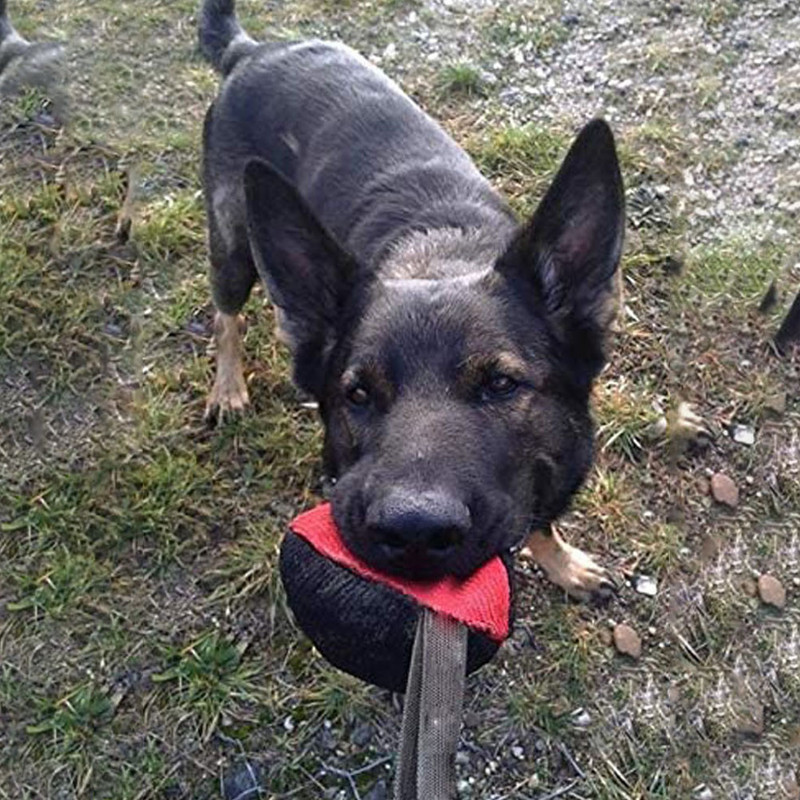 Bite Tug Burlap Training Bite Bag Puppy Training Molar Interactive Rope for Medium Large Dogs Aggressive Chewers