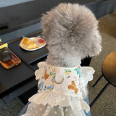 Dantela Floral Câine Pisică Harnaș Set de lesă Reglabil Vesta pentru animale de companie Cățeluș Pisici Rochie de prințesă Fusta Plimbare Plumb Accesorii Chihuahua