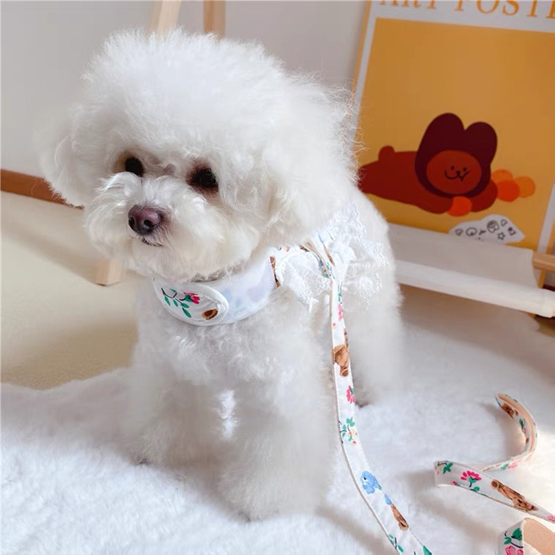 Dantela Floral Câine Pisică Harnaș Set de lesă Reglabil Vesta pentru animale de companie Cățeluș Pisici Rochie de prințesă Fusta Plimbare Plumb Accesorii Chihuahua