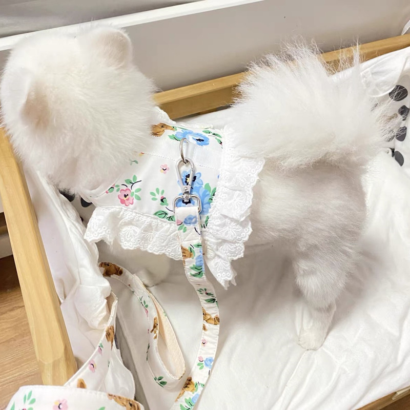 Dantela Floral Câine Pisică Harnaș Set de lesă Reglabil Vesta pentru animale de companie Cățeluș Pisici Rochie de prințesă Fusta Plimbare Plumb Accesorii Chihuahua