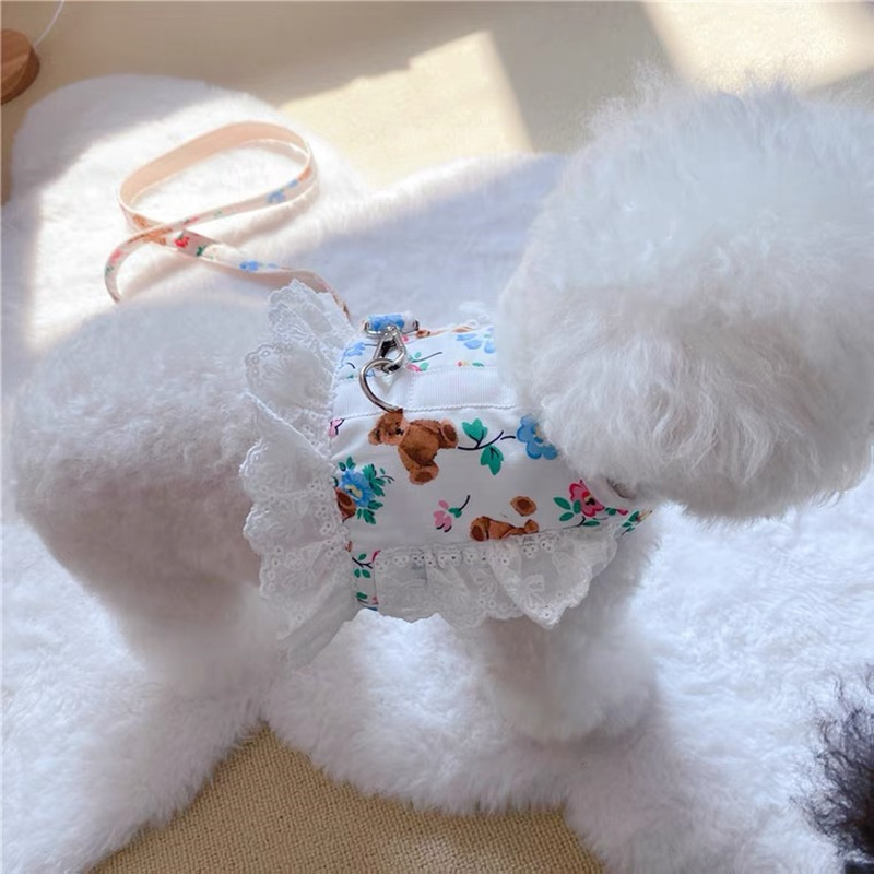 Dantela Floral Câine Pisică Harnaș Set de lesă Reglabil Vesta pentru animale de companie Cățeluș Pisici Rochie de prințesă Fusta Plimbare Plumb Accesorii Chihuahua