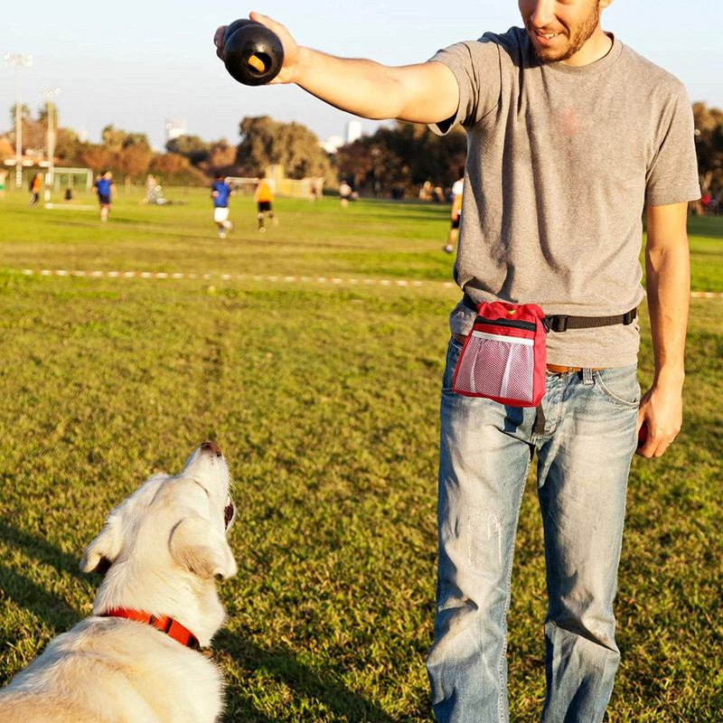 Θήκη για κέρασμα σκύλου, τσάντα κέρασμα σκύλου για προπόνηση Βάση τσάντας με μεταλλικό κλιπ, ζώνη μέσης, ιμάντα ώμου, σνακ για εύκολη μεταφορά, P