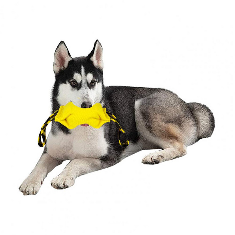 Šunų įkandimo rankovių lazdelė Profesionali naminių gyvūnėlių dresūra vilkikas šunų įkandimo rankovių lazdelė šuniuko dresūra Interaktyvus žaidimas Interaktyvūs žaislai