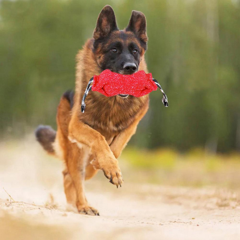 Šunų įkandimo rankovių lazdelė Profesionali naminių gyvūnėlių dresūra vilkikas šunų įkandimo rankovių lazdelė šuniuko dresūra Interaktyvus žaidimas Interaktyvūs žaislai