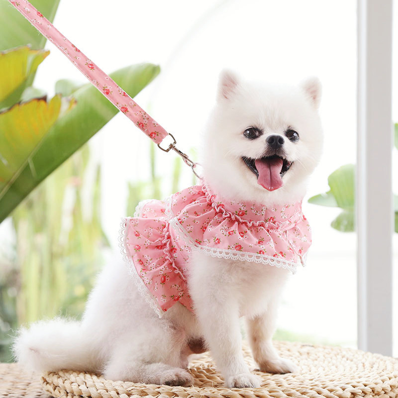 Harnaș ieftin pentru animale de companie pentru Chihuahua Câini de pluș Colier din lesă de pisică Haine florale pentru cățeluș Lead pentru rochie Imprimare guler din dantelă Comerț cu ridicata