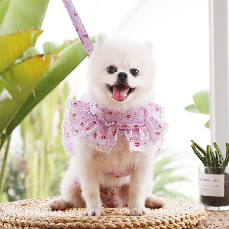 Harnaș ieftin pentru animale de companie pentru Chihuahua Câini de pluș Colier din lesă de pisică Haine florale pentru cățeluș Lead pentru rochie Imprimare guler din dantelă Comerț cu ridicata