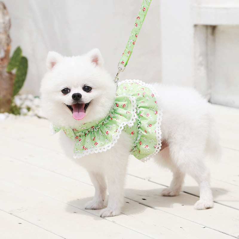 Harnaș ieftin pentru animale de companie pentru Chihuahua Câini de pluș Colier din lesă de pisică Haine florale pentru cățeluș Lead pentru rochie Imprimare guler din dantelă Comerț cu ridicata