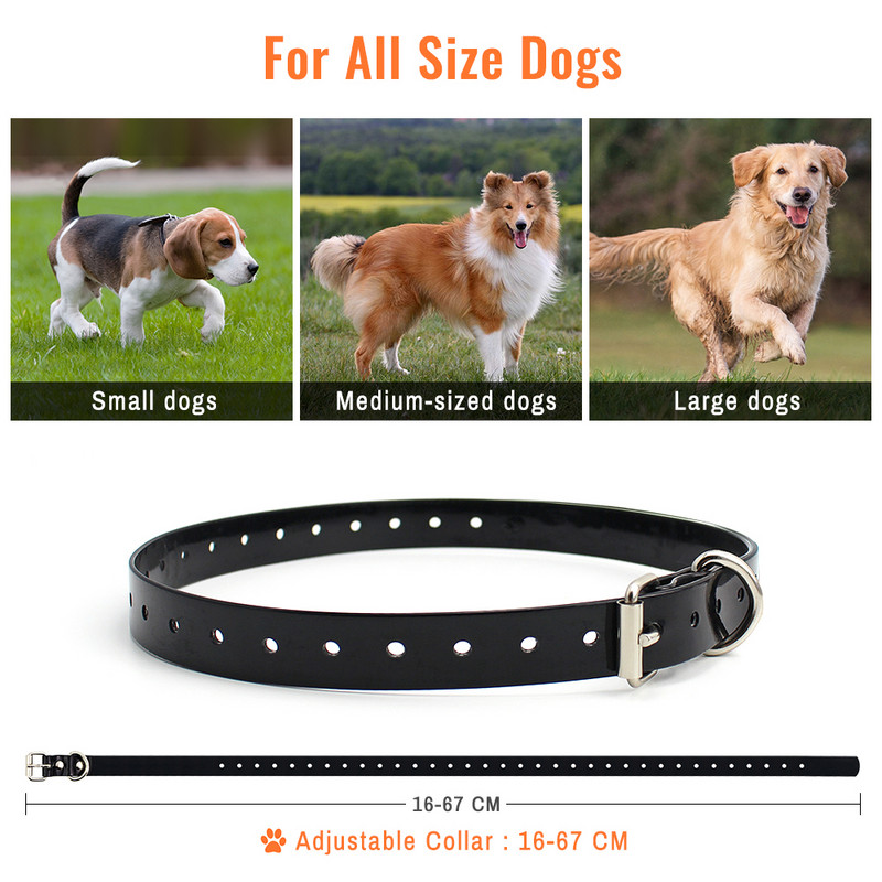 Ηλεκτρικό κολάρο εκπαίδευσης σκύλων 800m Αδιάβροχο επαναφορτιζόμενο σκύλο παρέχει 4 λειτουργίες με φως κραδασμών ήχο κραδασμών επίδειξη παιχνίδι για κατοικίδια