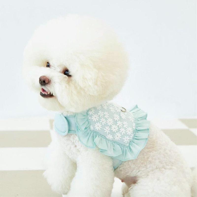 Σετ λουλουδιών λουλουδιών λουλουδιών λουλουδιών λουλουδιών λουλουδιών γατών για σκύλους για κουτάβι γατούλα που αναπνέει, αξεσουάρ εκπαίδευσης τσιουάουα