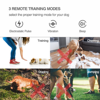 Κολάρο εκπαίδευσης σκύλων κατοικίδιων ζώων 800M Remote Dog Training System Automatic Bark Stop Ηλεκτρονικό κολάρο εκπαίδευσης Αδιάβροχο κολάρο κατοικίδιων
