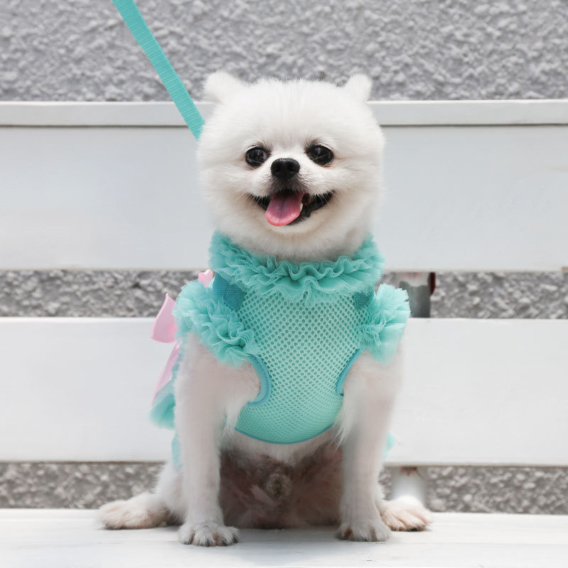 Fusta ham pentru câini pentru câini de talie mică, mijlocie, pisici, ham pentru animale de companie, set cu lesă, chihuahua, rochie de nuntă cu papillon, articole pentru câini