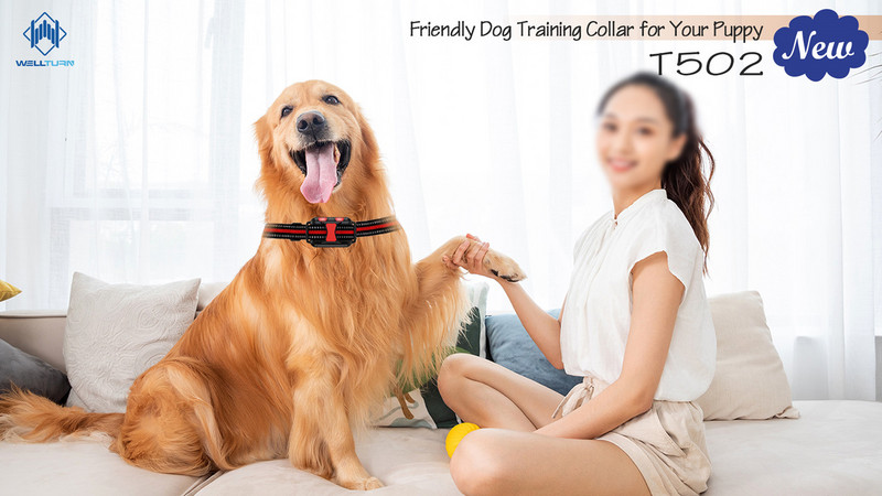 Uus 800 m (2600 jalga) kaugtreeningu vahemik T502 Koerte treeningkaelarihm IPX7 veekindel 4 režiimi Shock Vibration Sound Pet Tool 60% soodsamalt