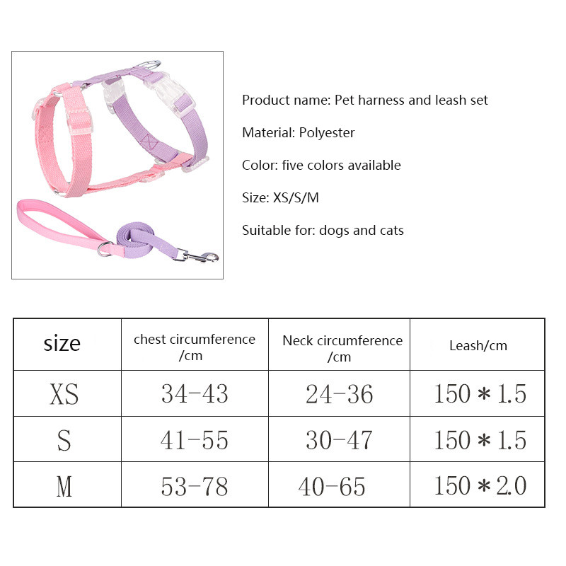 Ζώνη σκύλου σε σχήμα I με ταιριαστό λουρί σκύλου, λουρί από πολυεστέρα από βαμβάκι και σετ λουριών για μικρούς έως μεσαίους σκύλους που περπατούν σε εξωτερικούς χώρους