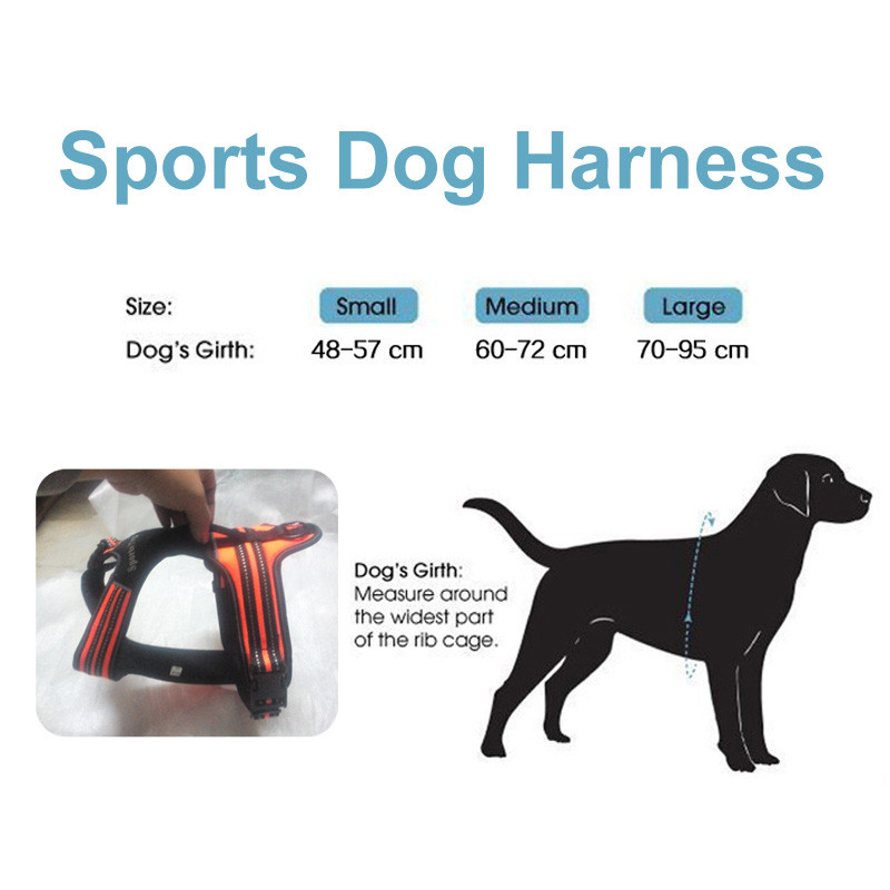 Gulere noi pentru câini, din piele, pentru caini de companie, ham pentru antrenament pentru tragere, pentru piept, caini mari, caini de lucru, potriviti pentru husky pitbull