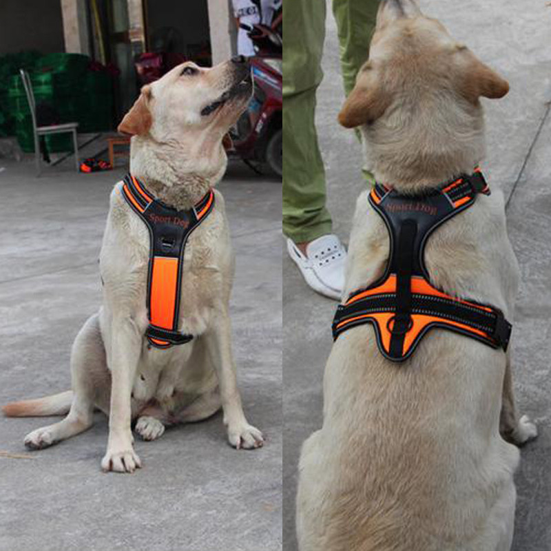 Gulere noi pentru câini, din piele, pentru caini de companie, ham pentru antrenament pentru tragere, pentru piept, caini mari, caini de lucru, potriviti pentru husky pitbull