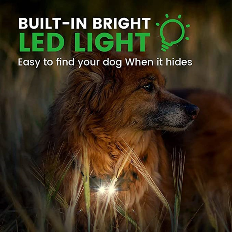 800M електрически нашийник за обучение на кучета Водоустойчиво дистанционно управление против лай нашийник за кучета Акумулаторни продукти за заглушаване на домашни любимци