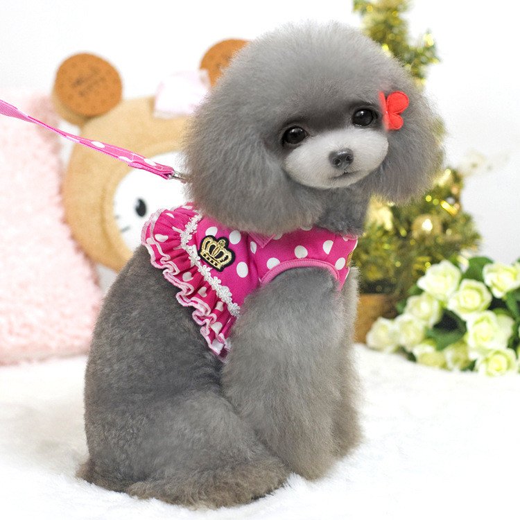 Kaubamärgi Pet Dog Cat Reguleeritav rakmete jalutusrihm väikesele koerakassi kutsikale Polka Dots Crown Lemmikloomatarbed Cachorro Mascotas Dropship 8517