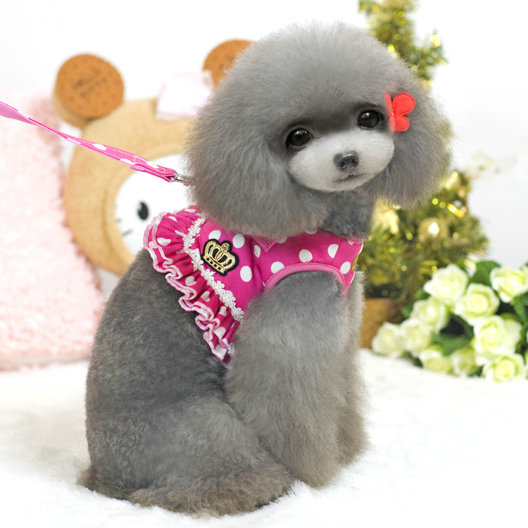 Kaubamärgi Pet Dog Cat Reguleeritav rakmete jalutusrihm väikesele koerakassi kutsikale Polka Dots Crown Lemmikloomatarbed Cachorro Mascotas Dropship 8517