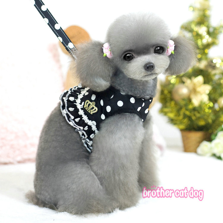 Kaubamärgi Pet Dog Cat Reguleeritav rakmete jalutusrihm väikesele koerakassi kutsikale Polka Dots Crown Lemmikloomatarbed Cachorro Mascotas Dropship 8517