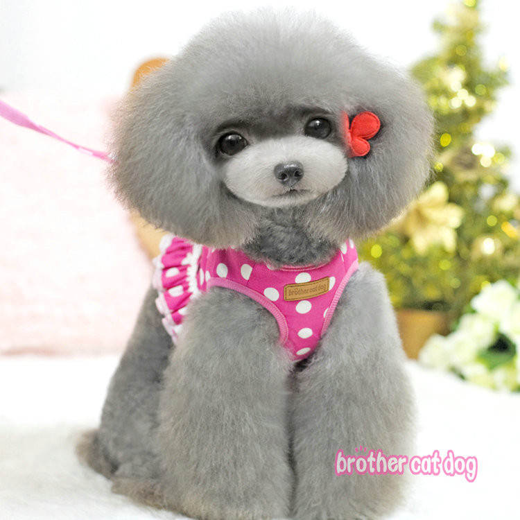 Kaubamärgi Pet Dog Cat Reguleeritav rakmete jalutusrihm väikesele koerakassi kutsikale Polka Dots Crown Lemmikloomatarbed Cachorro Mascotas Dropship 8517