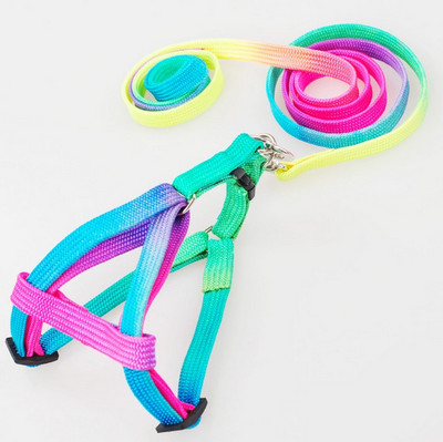 1 tk lemmikloomakoera jalutusrihm Nailonist vikerkaare väike kutsika kassipoegade jalutusrihm, käerihm, vesti kaelarihm kassijänese jaoks