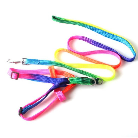 1 tk lemmikloomakoera jalutusrihm Nailonist vikerkaare väike kutsika kassipoegade jalutusrihm, käerihm, vesti kaelarihm kassijänese jaoks