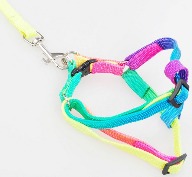 1 tk lemmikloomakoera jalutusrihm Nailonist vikerkaare väike kutsika kassipoegade jalutusrihm, käerihm, vesti kaelarihm kassijänese jaoks