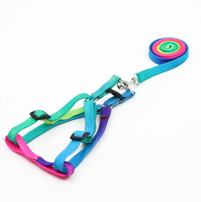 1 tk lemmikloomakoera jalutusrihm Nailonist vikerkaare väike kutsika kassipoegade jalutusrihm, käerihm, vesti kaelarihm kassijänese jaoks