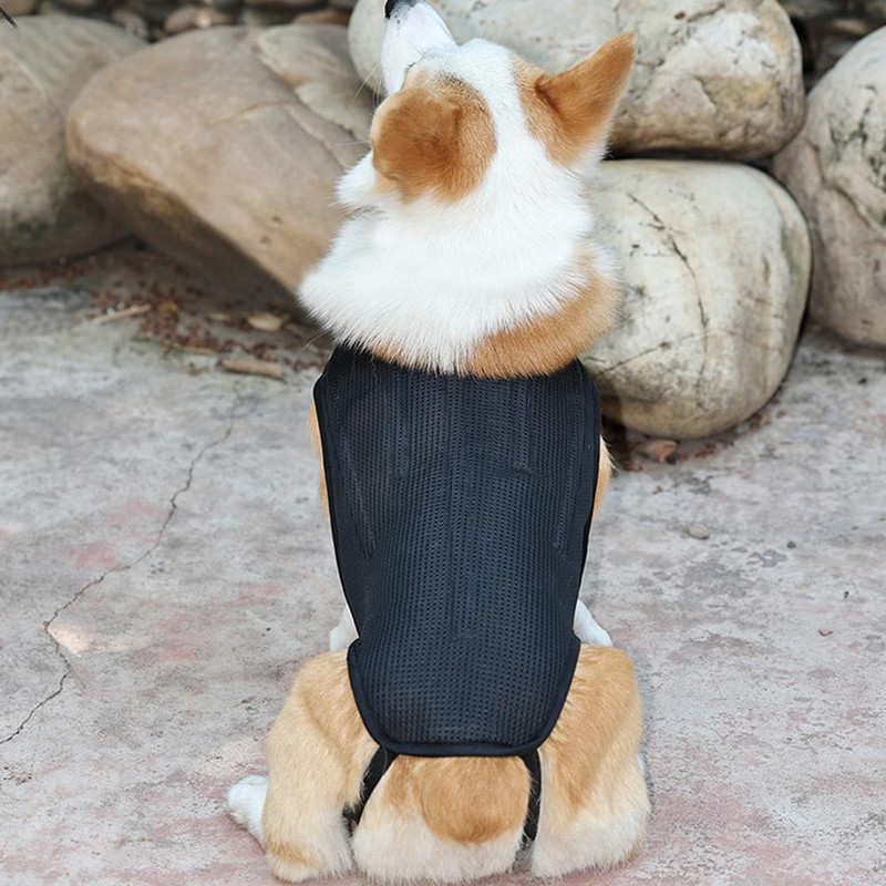 Mājdzīvnieku suņu zirglietas starpskriemeļu disku atbalsta veste Mīksta, elpojoša mugurkaula operācijas aizsargjostas Mājdzīvnieku apģērbi sāpju mazināšanai