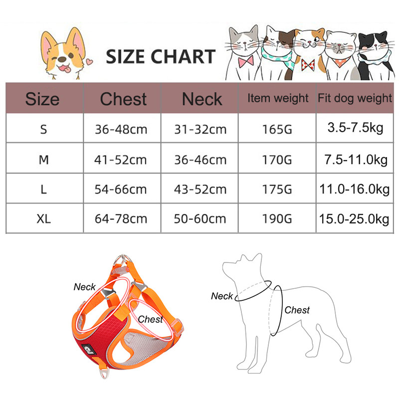 Reguleeritavad koerarakmed, tõmbevabad, peegeldavad keskmised suured koerarakmed ja jalutusrihma komplekt prantsuse buldogi hurtade kõndimiseks.
