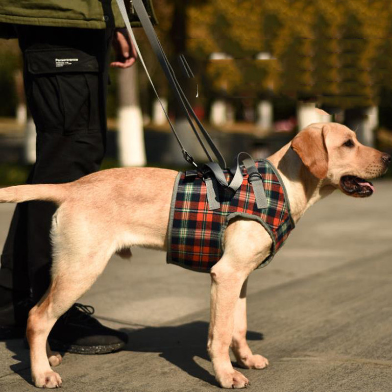 Podupirač za podizanje pasa ljubimca Karirani prsluk za podizanje Meka ručka Podesivi pomoćni remeni za stare pse Slabe ozlijeđene prednje stražnje noge
