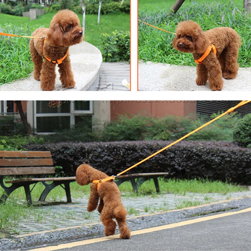 USB svjetlo za punjenje ili gumb za bateriju Treperenje Povodac za kućne ljubimce Pas nti-Lost/Izbjegavanje automobilske nesreće Perros Safe Prsni remeni Svjetleći