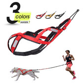 Koerte kelgurakmed Lemmikloomade raskuse tõmbamine Kelgusõidurakmed Mushing X seljarakmed suurtele koertele Husky Canicrossi suusasõidu tõukerattaga sõitmine