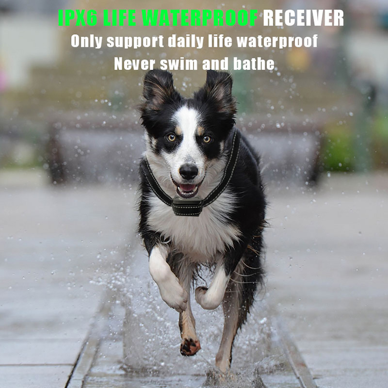 Zgarda electronica pentru animale de companie Two In One T720 pentru controlul latratului pentru caini Guler de dresaj pentru caini cu telecomanda