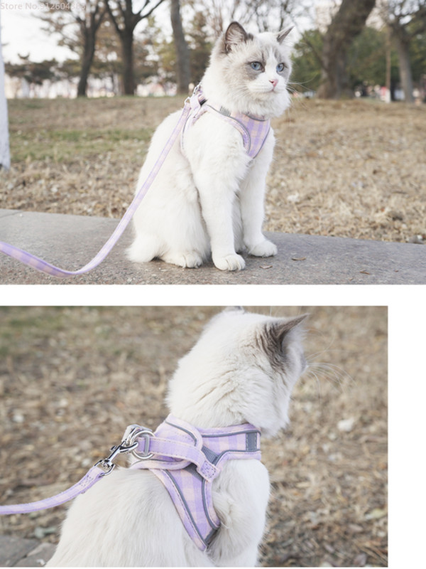 Koera kassi rakmed Vest Ruuduline lemmiklooma rinnarihm jalutusrihm jalutusrihma komplekt Lemmiklooma silmus helkurjalutuslemmikloomad Koerte kadumise vastased tarvikud