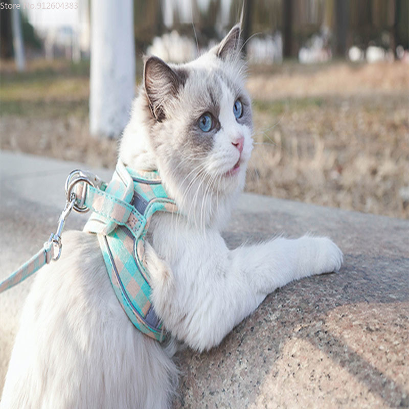 Koera kassi rakmed Vest Ruuduline lemmiklooma rinnarihm jalutusrihm jalutusrihma komplekt Lemmiklooma silmus helkurjalutuslemmikloomad Koerte kadumise vastased tarvikud