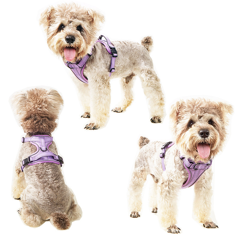 Ham de lux reflectorizant pentru câini pentru animale de companie, hamuri reglabile, respirabile, curea pentru piept din plasă macaron, accesorii pentru câini de talie mică, mijlocie