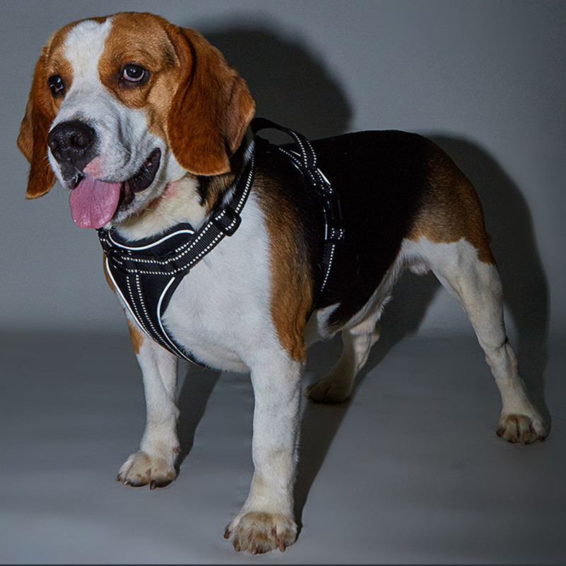 Ham de lux reflectorizant pentru câini pentru animale de companie, hamuri reglabile, respirabile, curea pentru piept din plasă macaron, accesorii pentru câini de talie mică, mijlocie