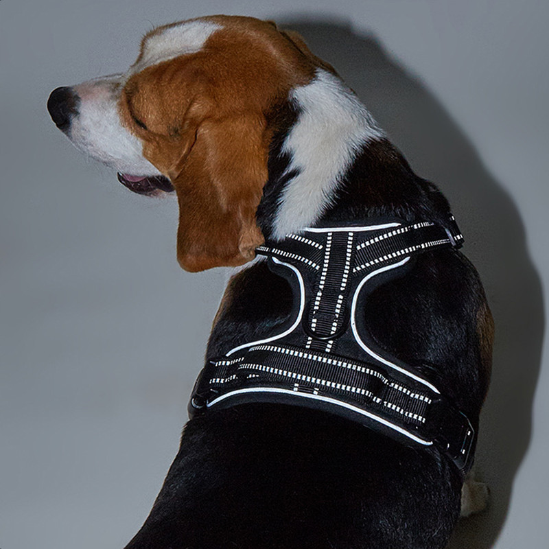 Ham de lux reflectorizant pentru câini pentru animale de companie, hamuri reglabile, respirabile, curea pentru piept din plasă macaron, accesorii pentru câini de talie mică, mijlocie