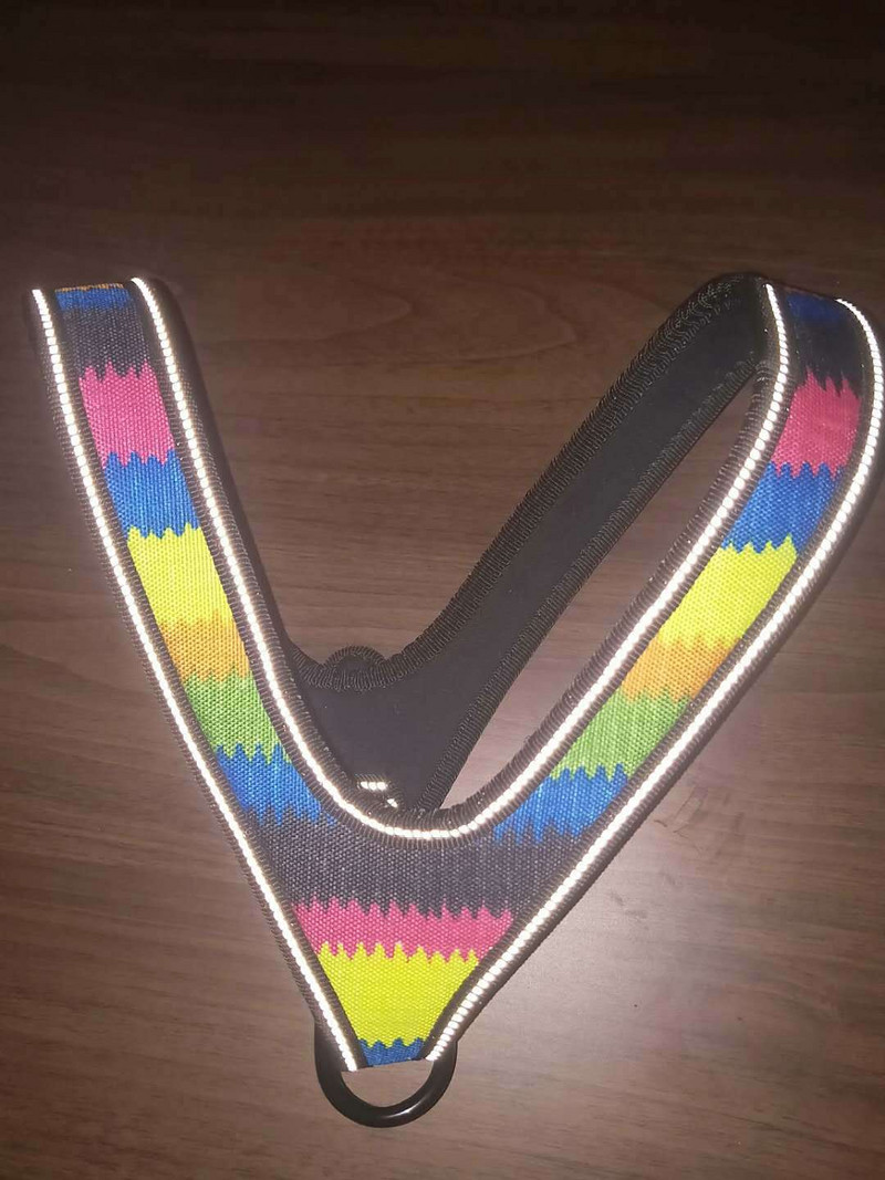 Reflektirajuća najlonska jaka remenica za pse, ogrlica za kućne ljubimce, podesiva podstavljena, ekstra velika, srednje mala, remenica za pse