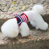 Accesorii pentru animale de companie în stil bleumarin, plasă, curea pentru piept, lesă, lanț pentru câini, frânghie de plimbare pentru câini mici