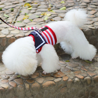 Accesorii pentru animale de companie în stil bleumarin, plasă, curea pentru piept, lesă, lanț pentru câini, frânghie de plimbare pentru câini mici