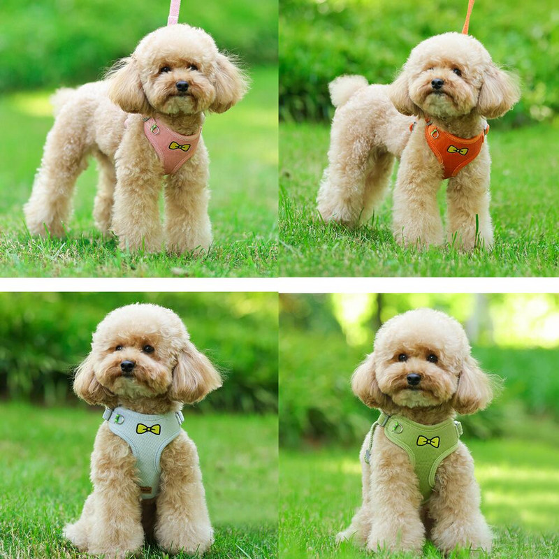 Set de lesă pentru ham pentru cățeluș, vestă respirabilă, curele reflectorizante pentru pisica pentru animale de companie, frânghie de tracțiune, hamuri mici și medii pentru chihuahua Yorkies