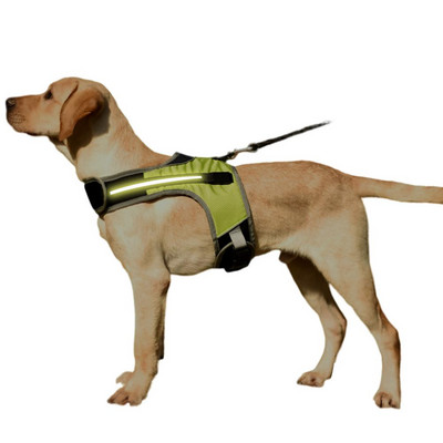Valguse valgustusega koerarakmed Led koerarakmed, 3 režiimi reguleeritava suurusega LED koera vest Helkur valgustusega koerarakmed koertele