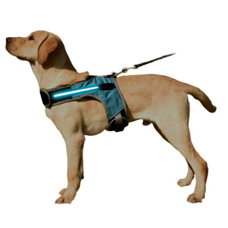 Valguse valgustusega koerarakmed Led koerarakmed, 3 režiimi reguleeritava suurusega LED koera vest Helkur valgustusega koerarakmed koertele